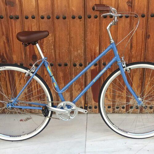 Montaje single speed azul y marron