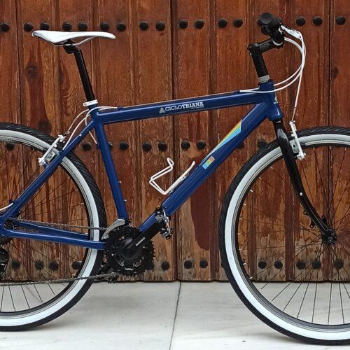 Montaje Treckking azul y blanca 21v